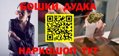 мдпв Кингисепп